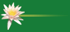 Wailea Massage Therapist
